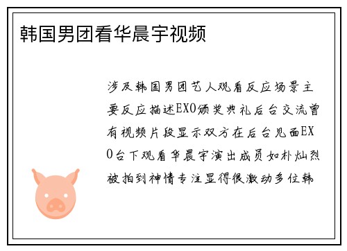 韩国男团看华晨宇视频